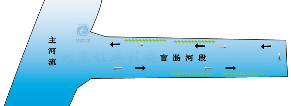 斷頭浜水治理