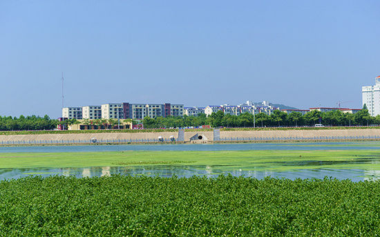 信陽(yáng)浉河二號(hào)橡膠壩藍(lán)藻泛濫