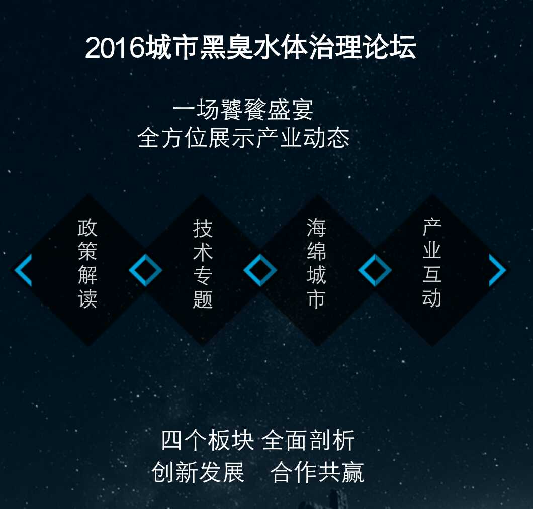 2016年城市黑臭水體治理論壇——黑臭水體直接凈化工藝