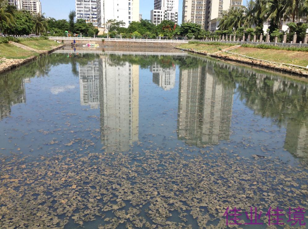 河道泥斑上浮治理