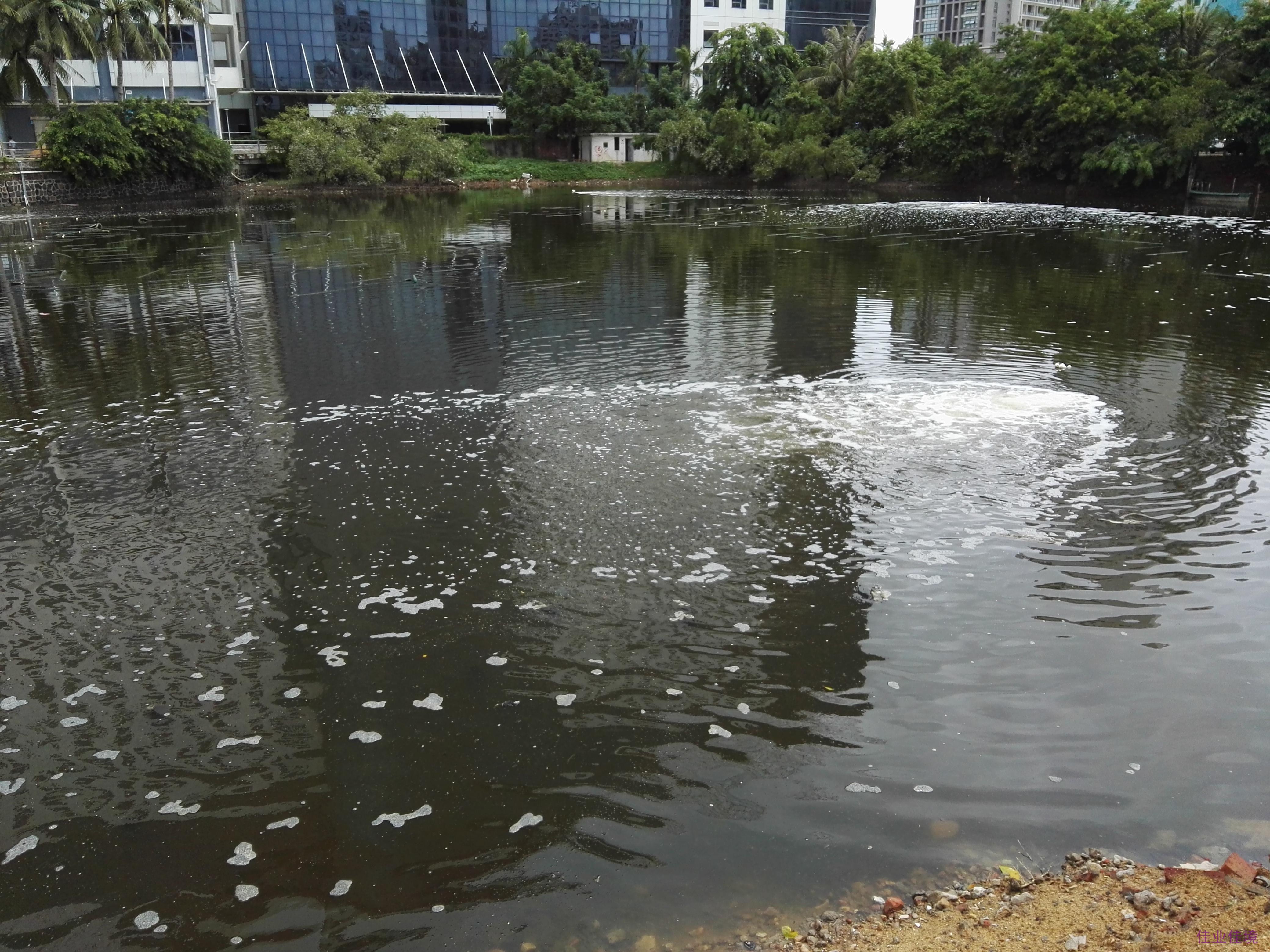 城市黑臭河道水體長效治理方案