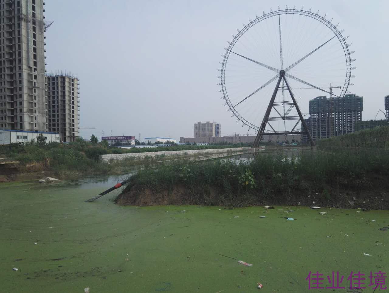 河道藍(lán)藻水華、浮萍治理